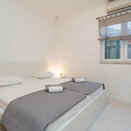 S By Guide 보디체